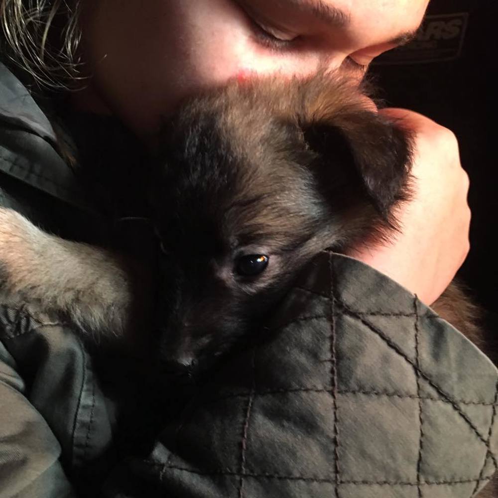 Meet your Posher, Ana